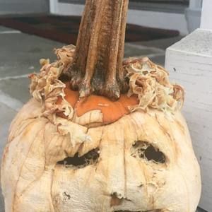 Meet your Posher, Barry